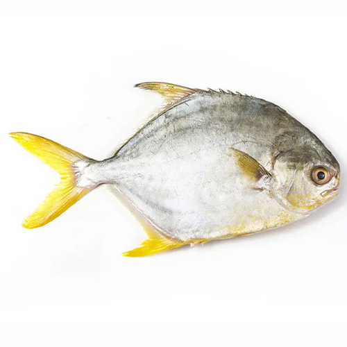 Silver Pomfret Whole( Approx - 3 pcs) -- 2 lbs
